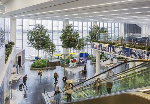 LaGuardia Airport Concourse Garden, Location: Queens, New York, Designer: Supermass Studio